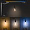 Homevenus Smart LED Bulb Edison ST64 E26 Vintage Spiral Filament Dimmable Cool to Warm, WHT 2100-5000K 350LM 6W SY-TF2CST64-01 - alternate 4